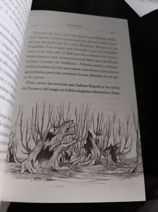 El anillo de luz: Crónicas del Reino de la Fant...