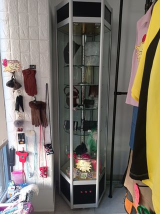 Vitrina expositora - metal y cristal