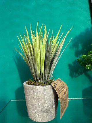 Pianta artificiale in vaso