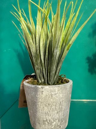 Pianta artificiale in vaso