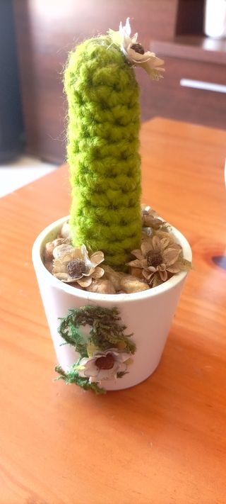 4 Cactus tejidos a crochet