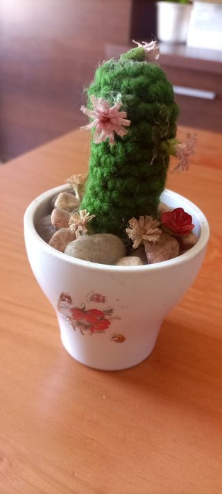 4 Cactus tejidos a crochet