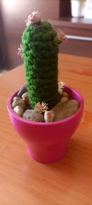 4 Cactus tejidos a crochet