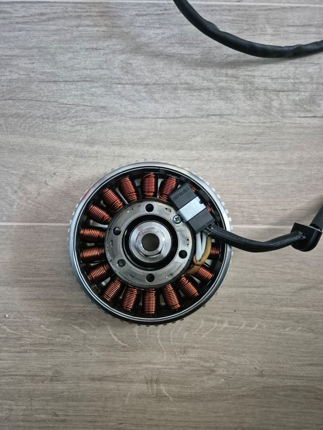 Stator y rotor magnético BMW S1000