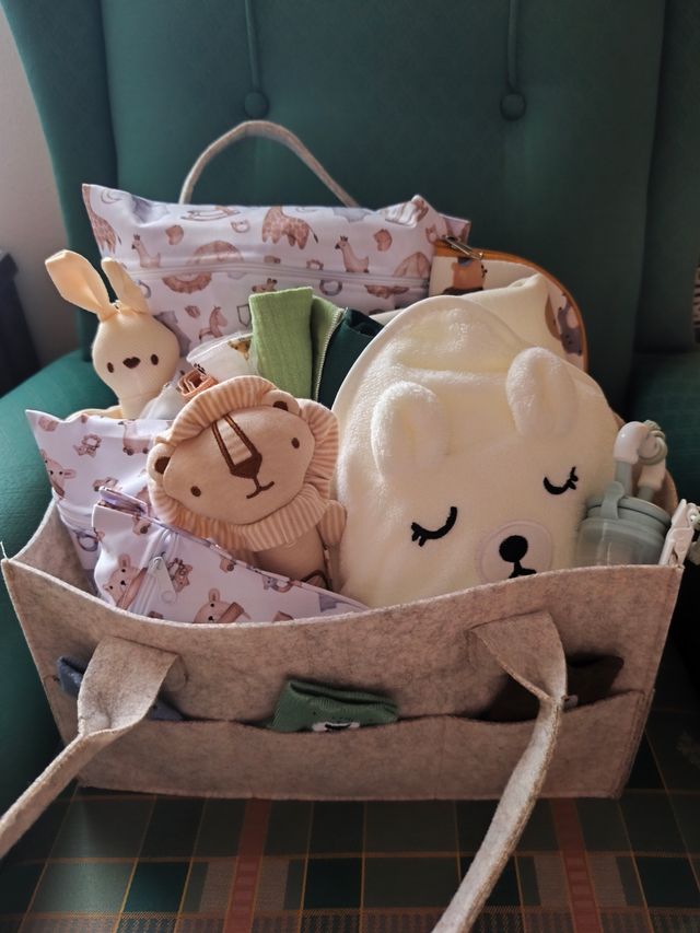 Cesta bebé recién nacido