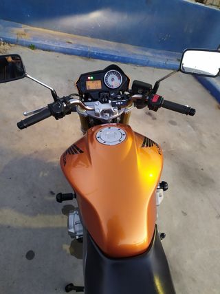 Honda Hornet 600 - Moto