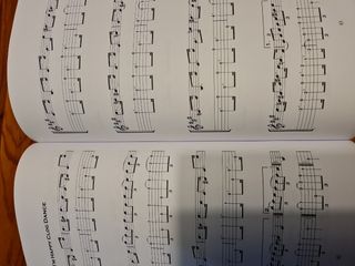 Libro Mel Bay: The Banjoist's Budget