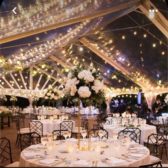 Carpas transparente 12x20 - Alquiler