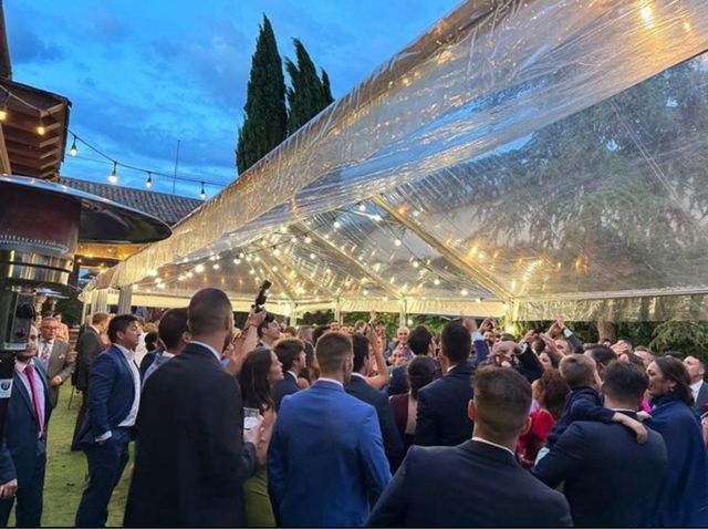 Carpas transparente 12x20 - Alquiler