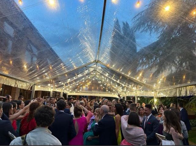 Carpas transparente 12x20 - Alquiler