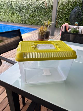 Pecera plástica pequeña