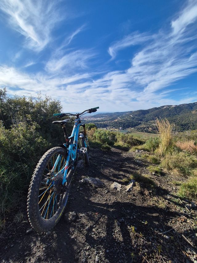 Mondraker Dunne XR ala carta