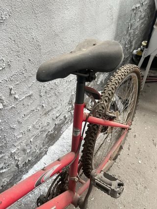 Bicicleta Todobike montaña