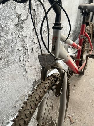 Bicicleta Todobike montaña