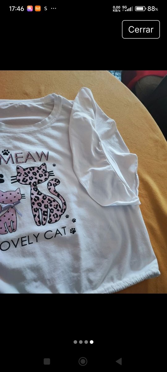 Camiseta gatitos - a estrenar