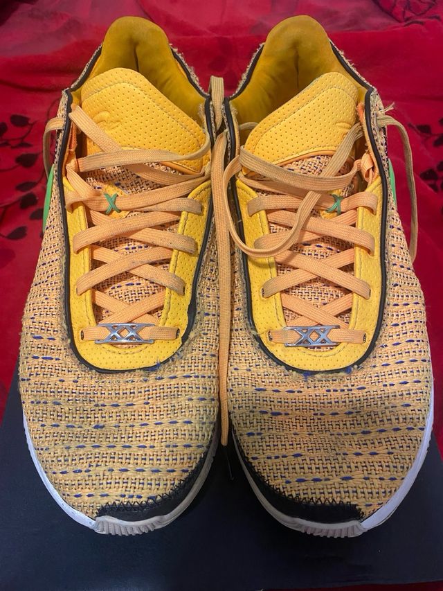 Zapatillas Nike LeBron XX - Multicolor