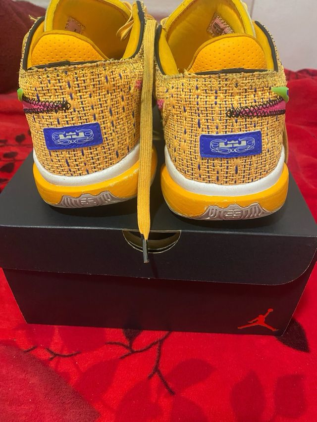 Zapatillas Nike LeBron XX - Multicolor