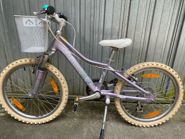 BICICLETA GIANT 20”