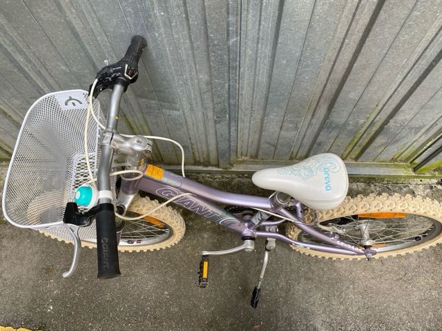 BICICLETA GIANT 20”