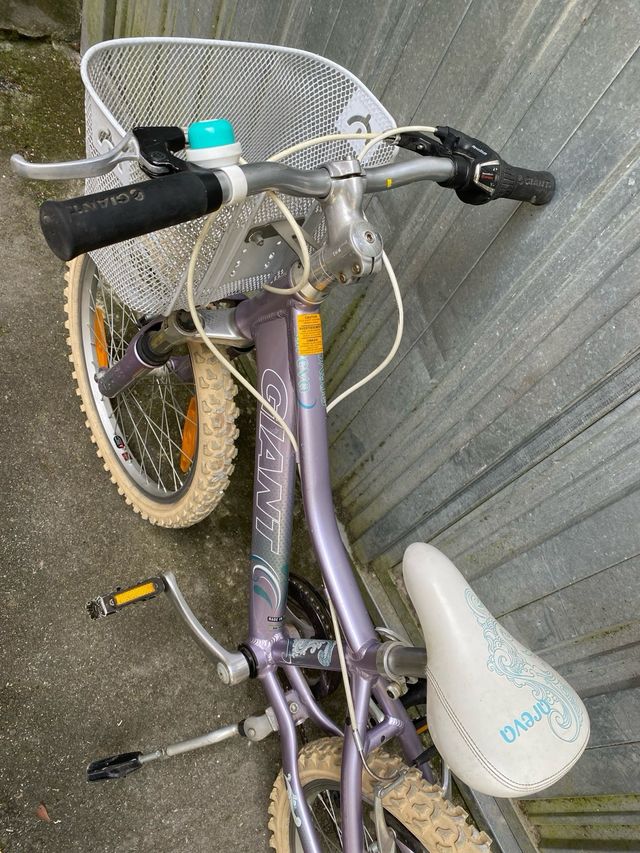 BICICLETA GIANT 20”