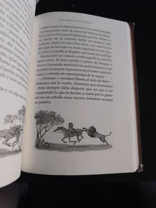 El caballo y el muchacho: Las Crónicas de Narni...