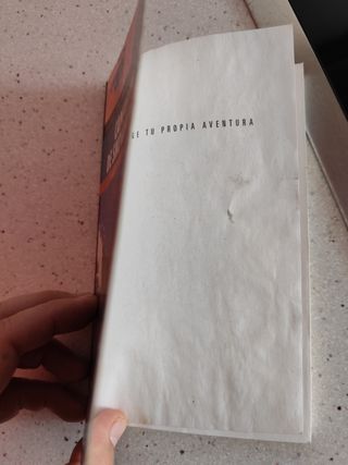 Campeon de snowboard