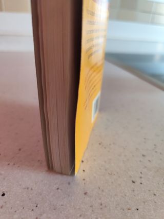 Campeon de snowboard