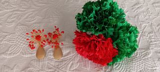 Conjunto Flamenca