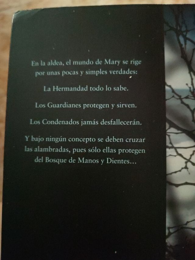 Buscaré el océano (The Forest of Hands and Teet...