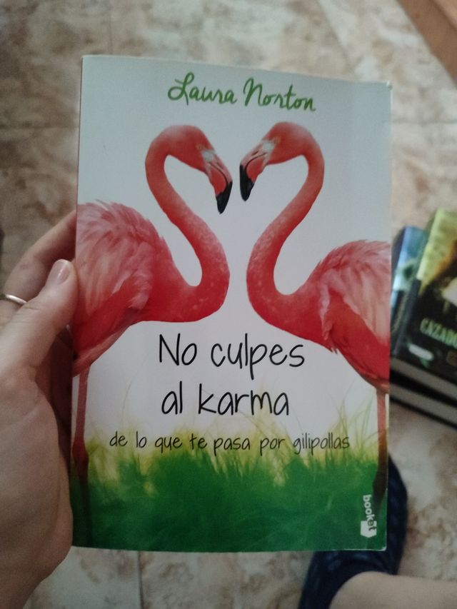 No culpes al karma de lo que te pasa por gilipo...