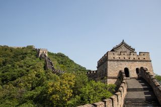 Canon EOS 77D + Objetivos