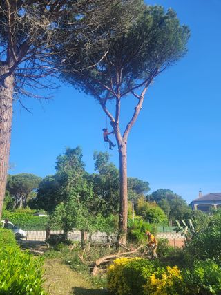 Madera 