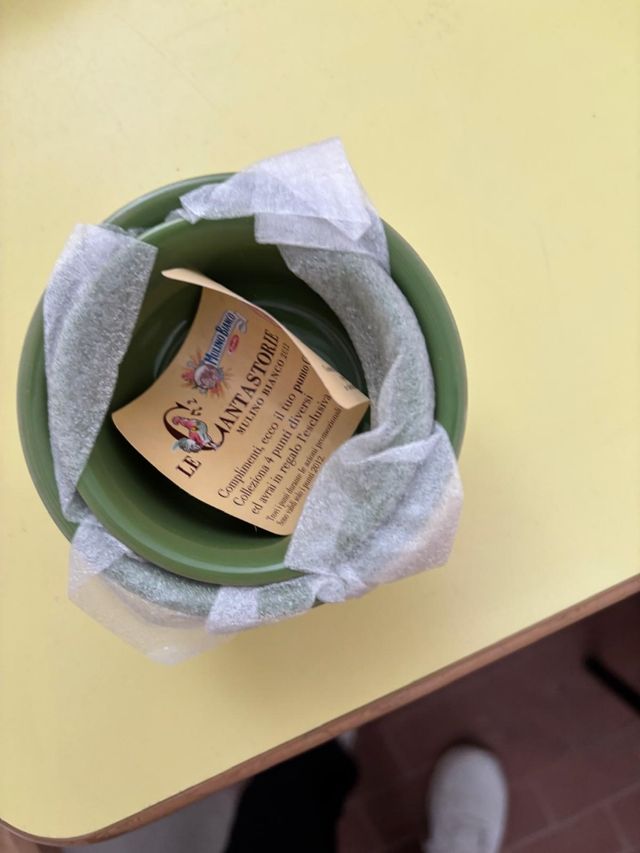 18 Ciotole Le Fantasie verdi