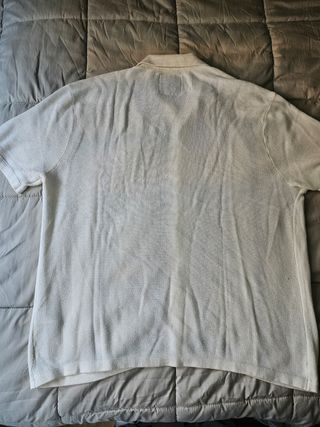 Camisa Hollister cebra XL