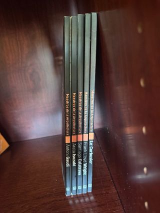 Lote colección maestros de la arquitectura