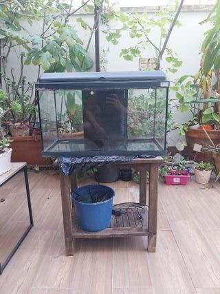 Pecera negra con filtro