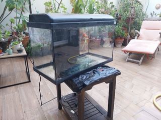 Pecera negra con filtro