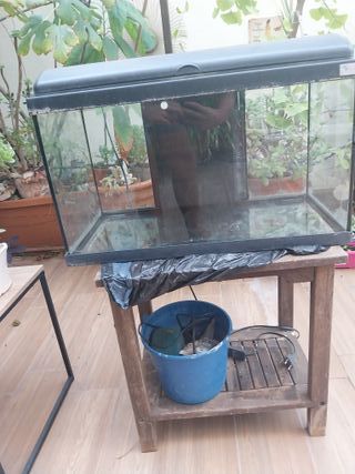 Pecera negra con filtro