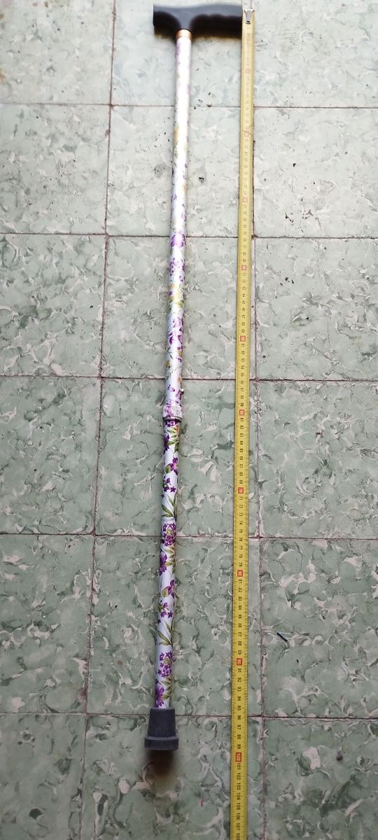 Bastón Plegable + Skate