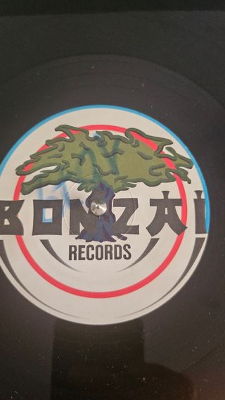 Vinilo Da Hool,  Tony's Got The Biggest Dick.