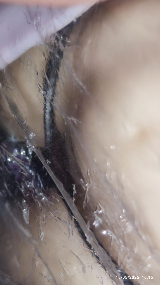 FIGURA - JOVENCITA DE FANTASIA CON ALAS