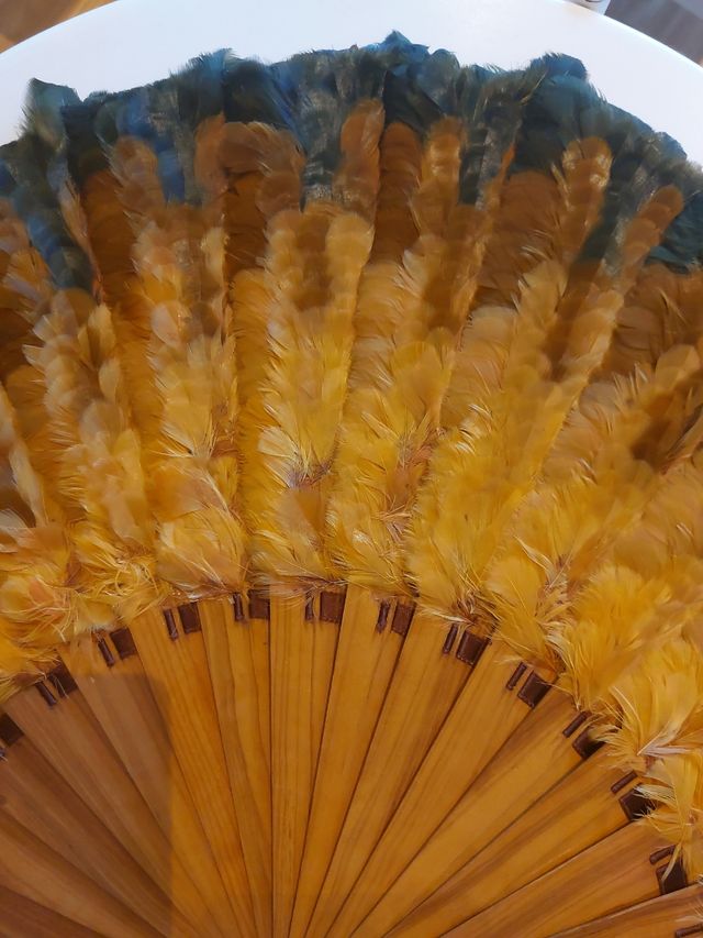 Abanico antiguo de plumas
