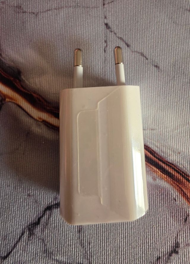 Caricabatterie Apple originale