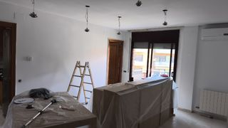 Pintor profesional