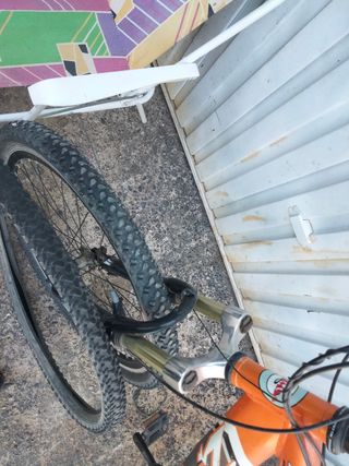 Bicicleta United Venus