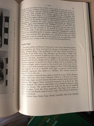 Neolitic cultures of Western Asia