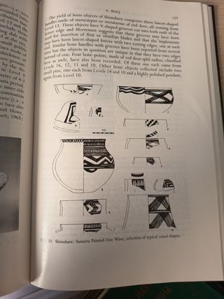 Neolitic cultures of Western Asia