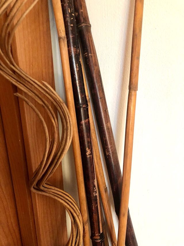 8 Cañas bambú - Decoración.