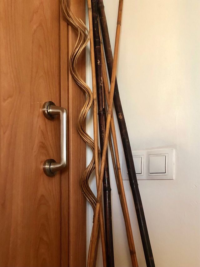 8 Cañas bambú - Decoración.