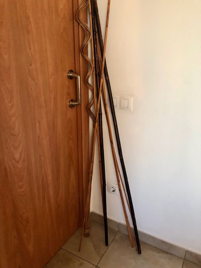 8 Cañas bambú - Decoración.
